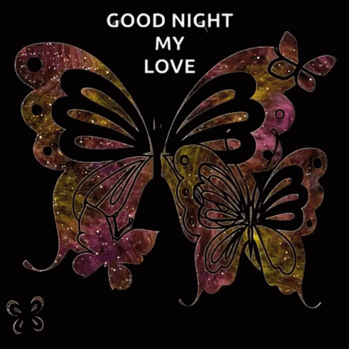 Butterfly good night