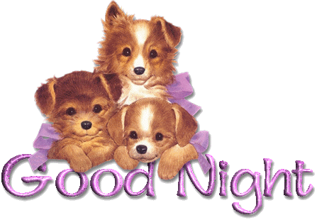 Good evening graphic animated gif graphics good evening 877373 pv3jfd clipart