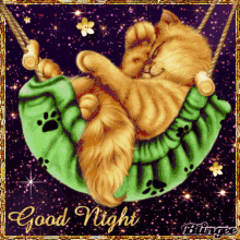 Good night cat