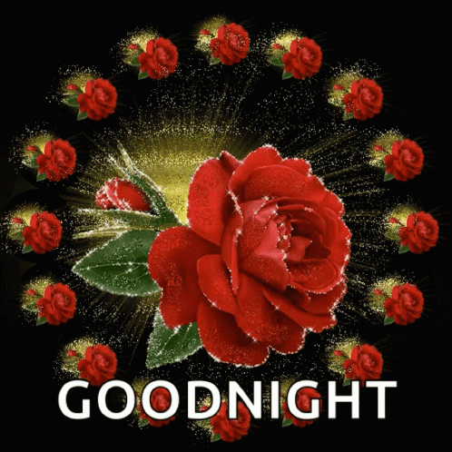 Goodnight roses