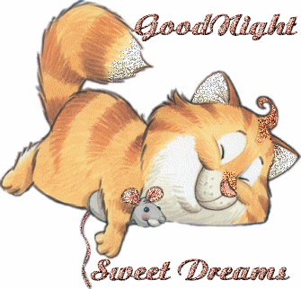 Mouse goodnight