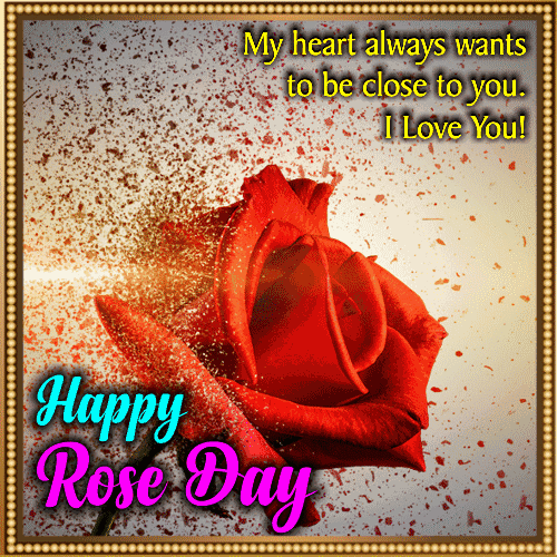Rose Day Celebration2