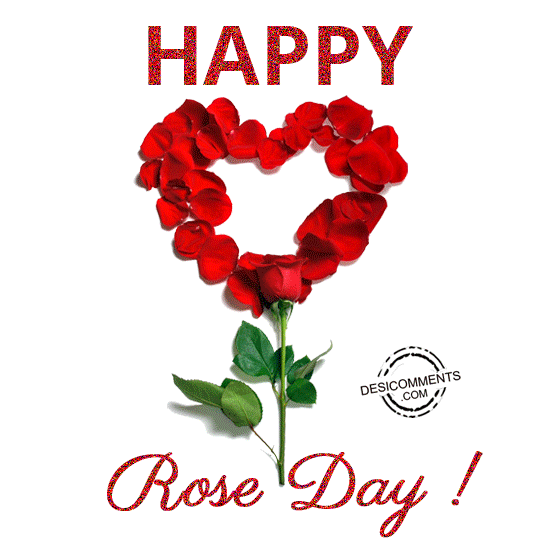 Rose Day Celebration4