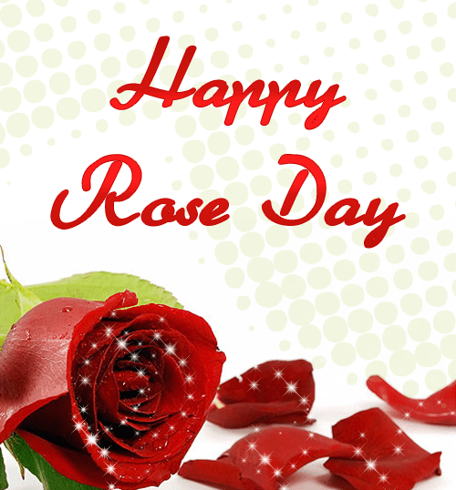 Rose Day5