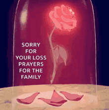 sorry-for-your-loss