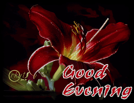 Awesome Good Evening Glitter8