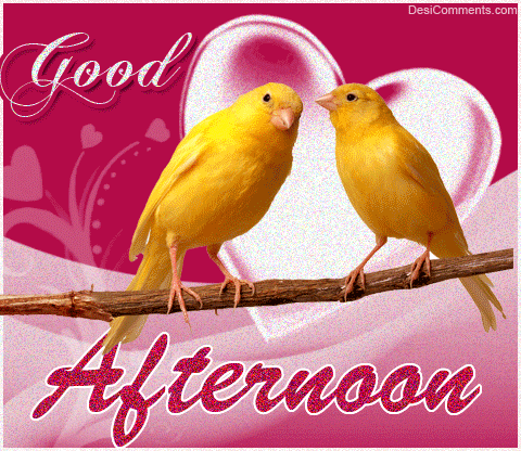 Good Afternoon Love Birds Sparkle Glitter Photo