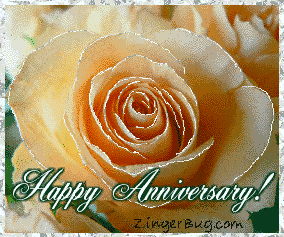 Anniversary Peach Rose