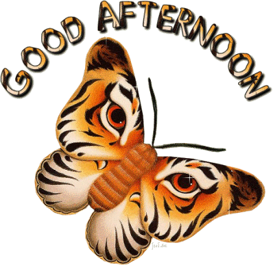 Happy Good Afternoon Gif2