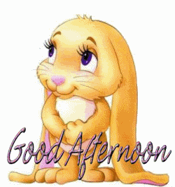 Happy Good Afternoon Gif3