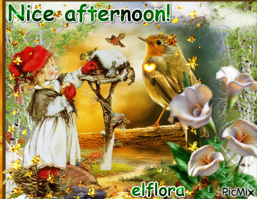 Happy Good Afternoon Gif6