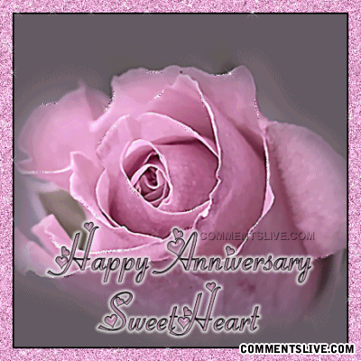Pink Rose Anniversary