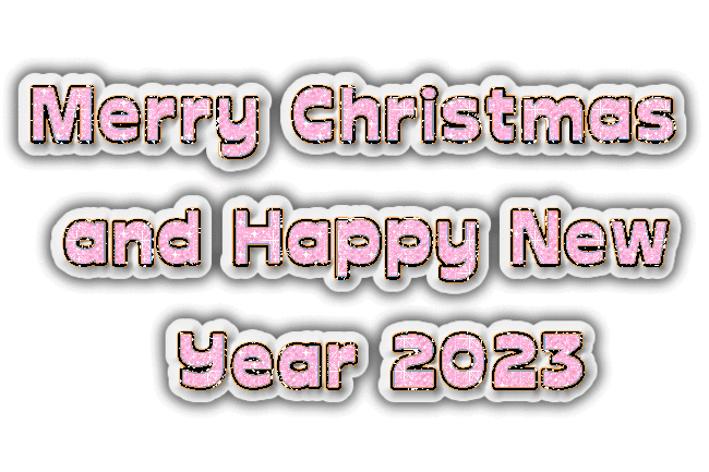 Glitter Merry Christmas And Happy New Year 2023 Pink